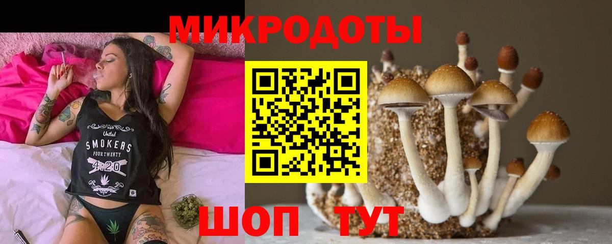 Галлюциногенные грибы GOLDEN TEACHER  Вход с VPN  Псилоцибиновые грибы MAGIC MUSHROOMS  Рубцовск 